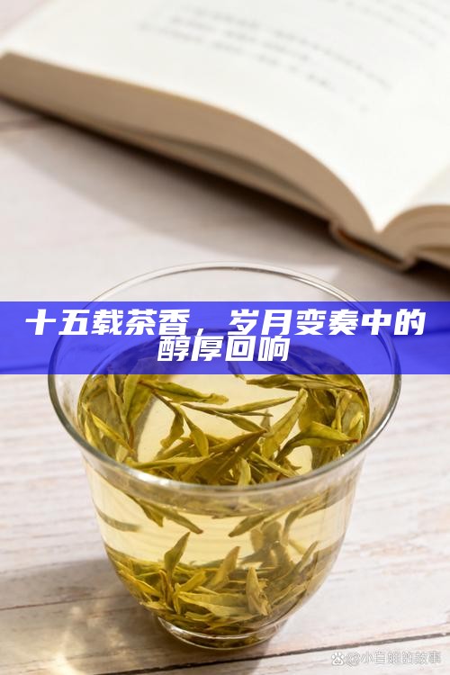 十五载茶香，岁月变奏中的醇厚回响